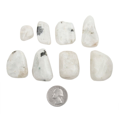 Moonstone - Rainbow, A Grade, Blue Flash, Tumbled Stone(s)