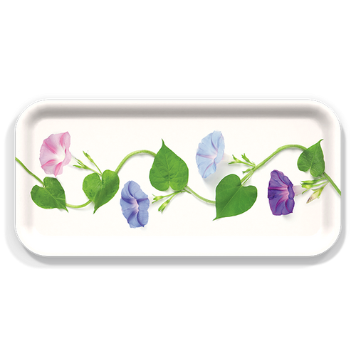 Morning Glory Small Tray
