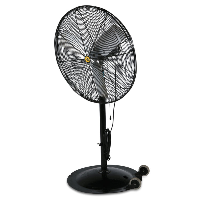 Pedestal Fan