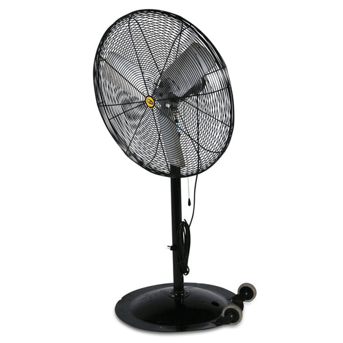 Pedestal Fan