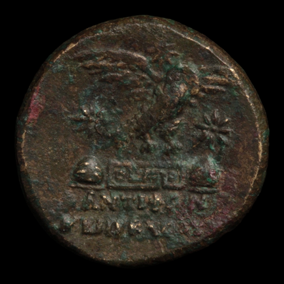 Phrygia, Apameia, Bronze Issue, Athena & Eagle - 133 to 48 BCE - Greek World