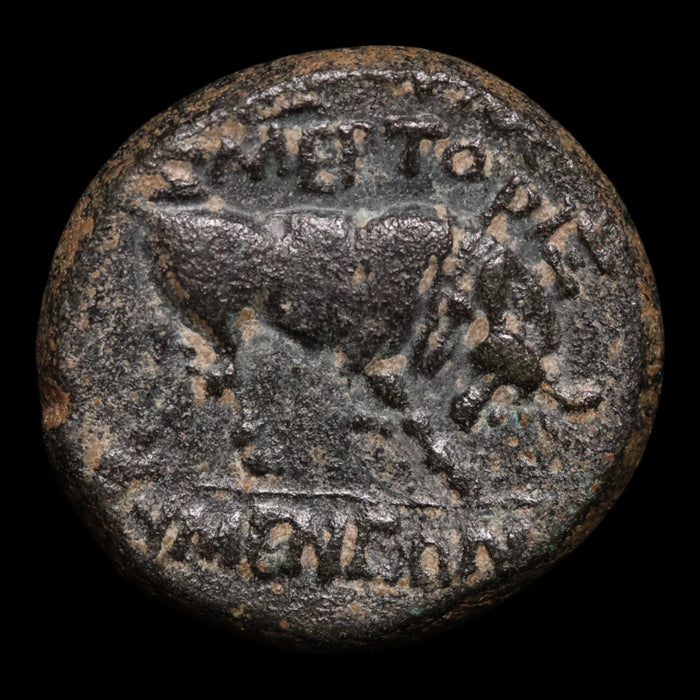 Phrygia, Tiberius (Second Emperor of Rome), AE Unit, Bull Reverse - 14 to 37 CE - Roman Provinces