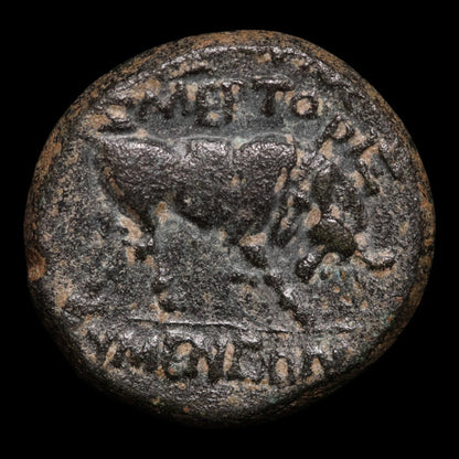Phrygia, Tiberius (Second Emperor of Rome), AE Unit, Bull Reverse - 14 to 37 CE - Roman Provinces