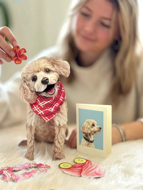 Poodle Pop-Up Pet Card