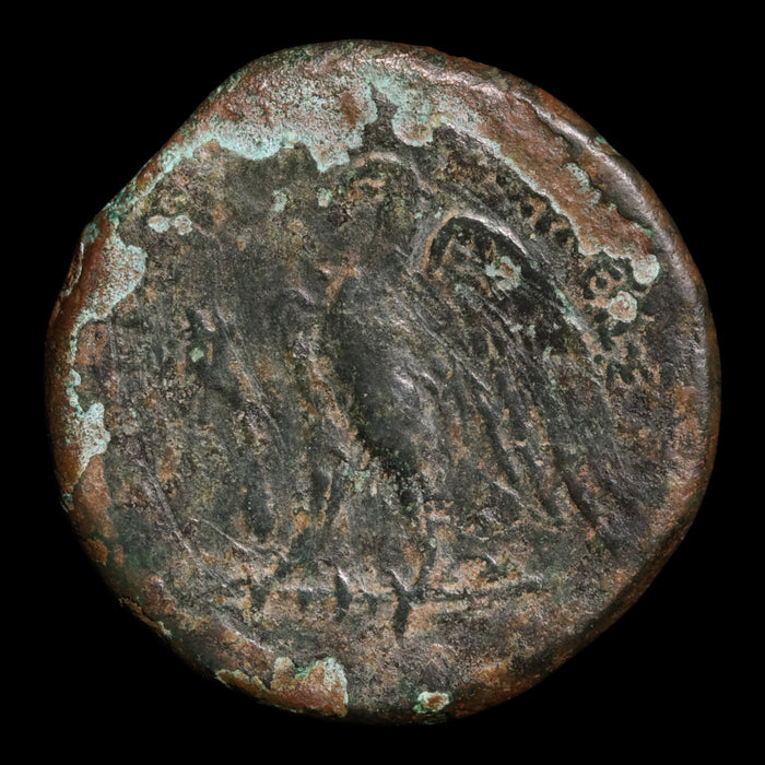 Ptolemaic Egypt, King Ptolemy II, AE Unit, Zeus & Eagle - 285 to 246 BCE - Ancient Egypt