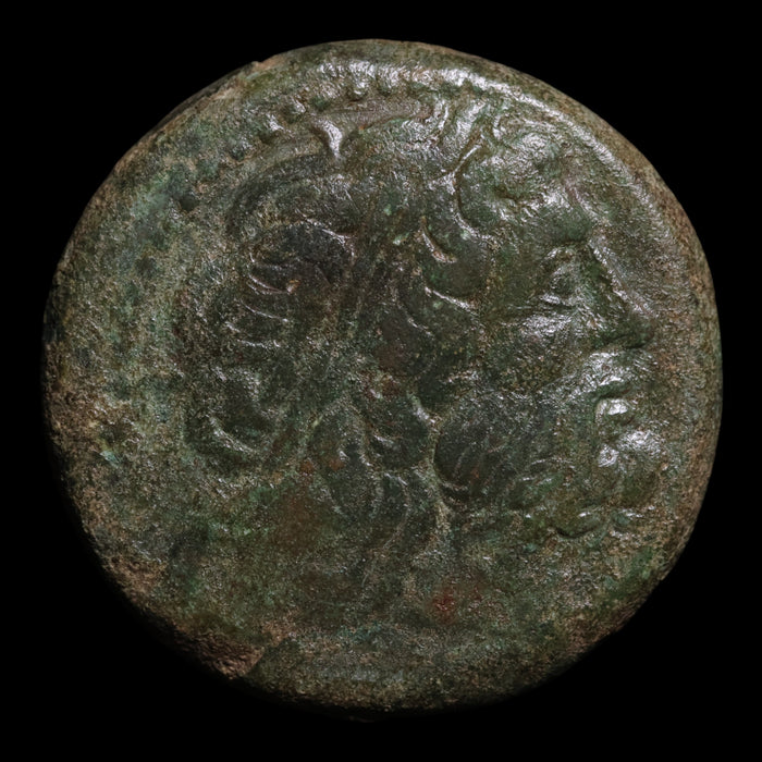 Ptolemaic Kingdom of Egypt, King Ptolemy II, AE Unit - 264 to 263 BCE - Ancient Egypt