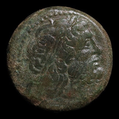 Ptolemaic Kingdom of Egypt, King Ptolemy II, AE Unit - 264 to 263 BCE - Ancient Egypt
