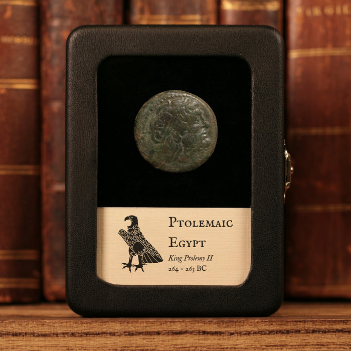 Ptolemaic Kingdom of Egypt, King Ptolemy II, AE Unit - 264 to 263 BCE - Ancient Egypt