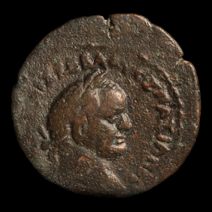 Roman Egypt, Emperor Vespasian, Obol, Hawk on Reverse - 72 to 73 CE - Roman Provinces