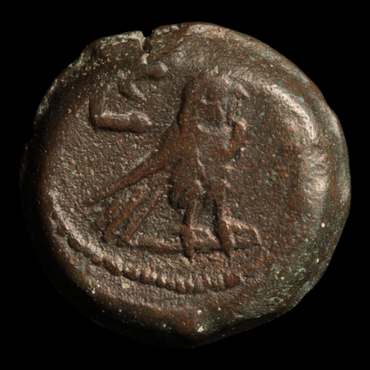 Roman Egypt, Emperor Vespasian, Obol, Hawk on Reverse - 72 to 73 CE - Roman Provinces
