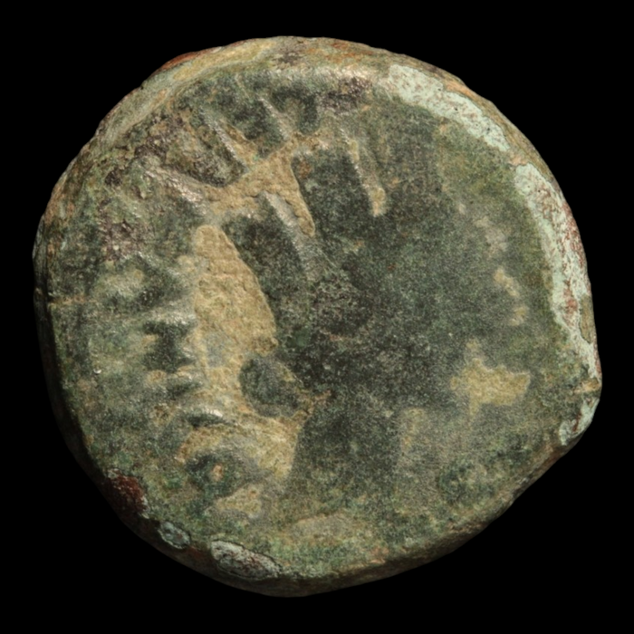 Roman Hispania, Emperor Tiberius Bronze - 14 to 37 CE - Roman Provinces