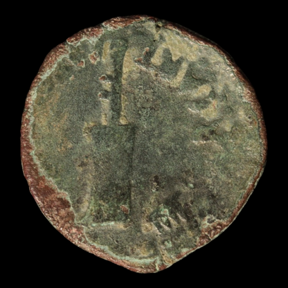 Roman Hispania, Emperor Tiberius Bronze - 14 to 37 CE - Roman Provinces