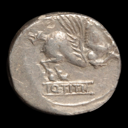Roman Republic, Q. Titius, Silver Denarius, Pegasus Reverse - 90 BCE - Roman Republic