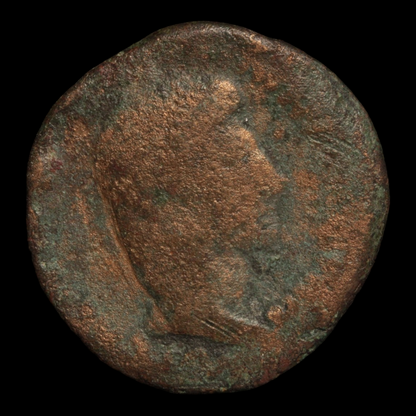 Rome, Emperor Augustus (first emperor of Rome), Bronze As - 7 BCE - Roman Empire