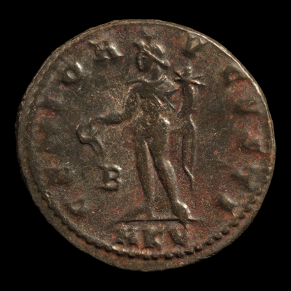 Rome, Emperor Galerius, Large Bronze AE1, Genius Reverse - 308 to 309 CE - Roman Empire