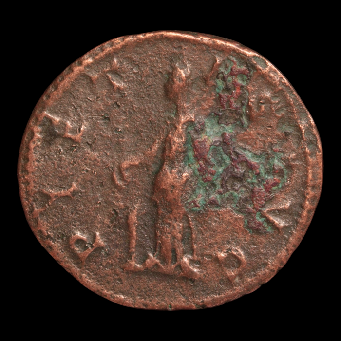 Rome, Emperor Probus, Antoninianus, Pietas Reverse - 276 – 282 CE - Roman Empire