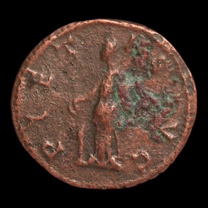 Rome, Emperor Probus, Antoninianus, Pietas Reverse - 276 – 282 CE - Roman Empire