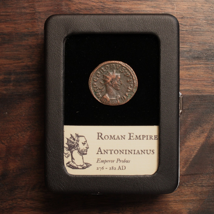 Rome, Emperor Probus, Antoninianus, Pietas Reverse - 276 – 282 CE - Roman Empire