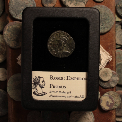 Rome, Emperor Probus, Antoninianus, Sol on Reverse - 276 to 282 CE - Roman Empire