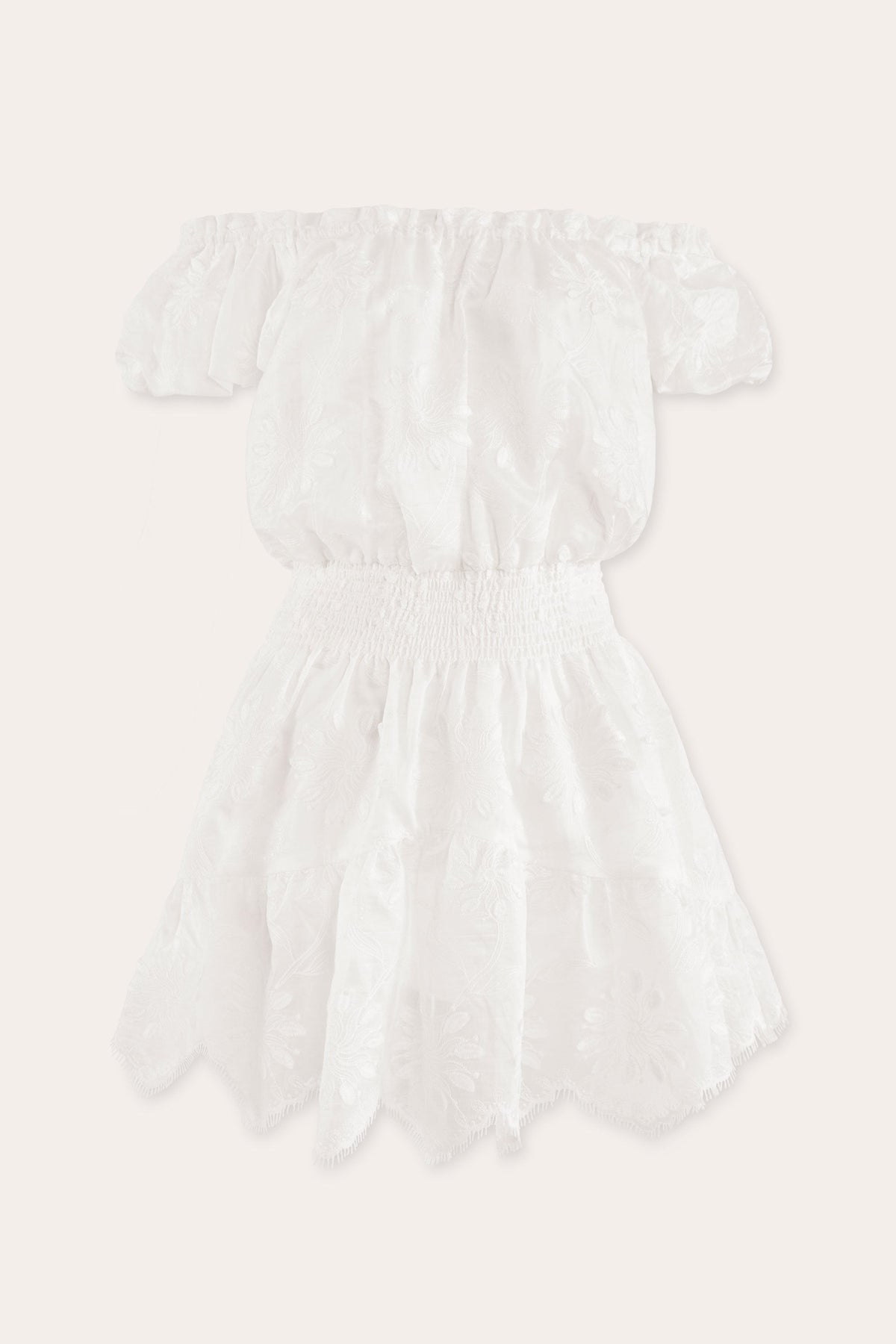 Verona Embroidered Organza Mini Dress