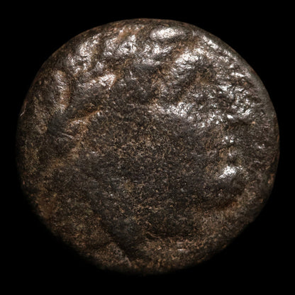 Seleucid Empire, King Antiochus II, AE Unit - 261 to 246 BCE - Greek World