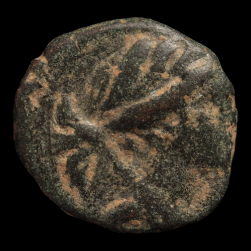 Seleucids, Seleucus III Bronze - 226 to 222 BCE - Seleucid Empire