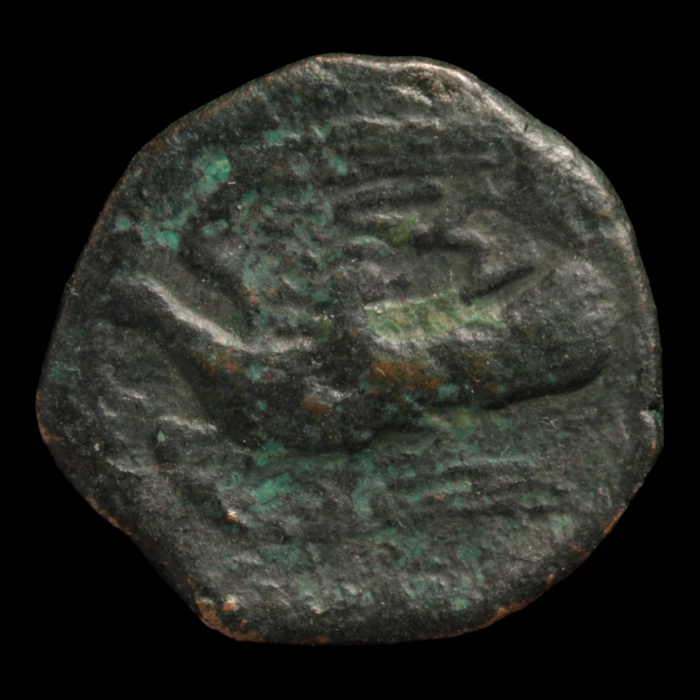 Sikyonia, Sikyon, Aineas Trichalkon - 100 to 60 BCE - Ancient Greeks