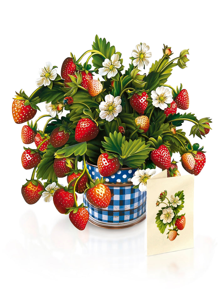 Strawberry Blossom Flower Bouquet Pop-Up Card