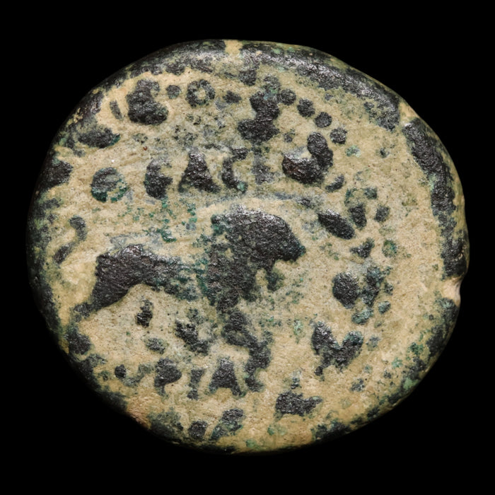 Syria, Emperor Commodus, AE Unit, Lion Reverse - 191 to 192 CE - Roman Provinces