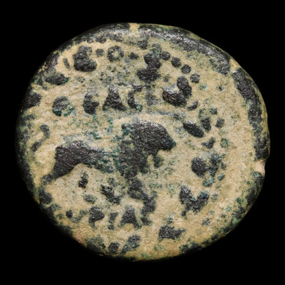 Syria, Emperor Commodus, AE Unit, Lion Reverse - 191 to 192 CE - Roman Provinces