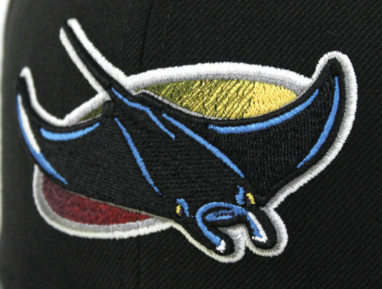 Tampa Bay Devil Rays New Era Fitted 59Fifty hat (AIR JORDAN RETRO 7 Bordeaux Gray Under Brim)