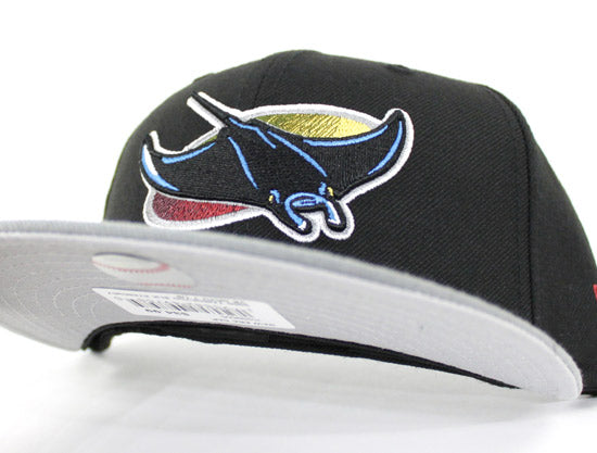 Tampa Bay Devil Rays New Era Fitted 59Fifty hat (AIR JORDAN RETRO 7 Bordeaux Gray Under Brim)