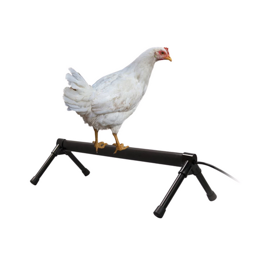 Thermo Chicken Perch - Pittsboro Feed