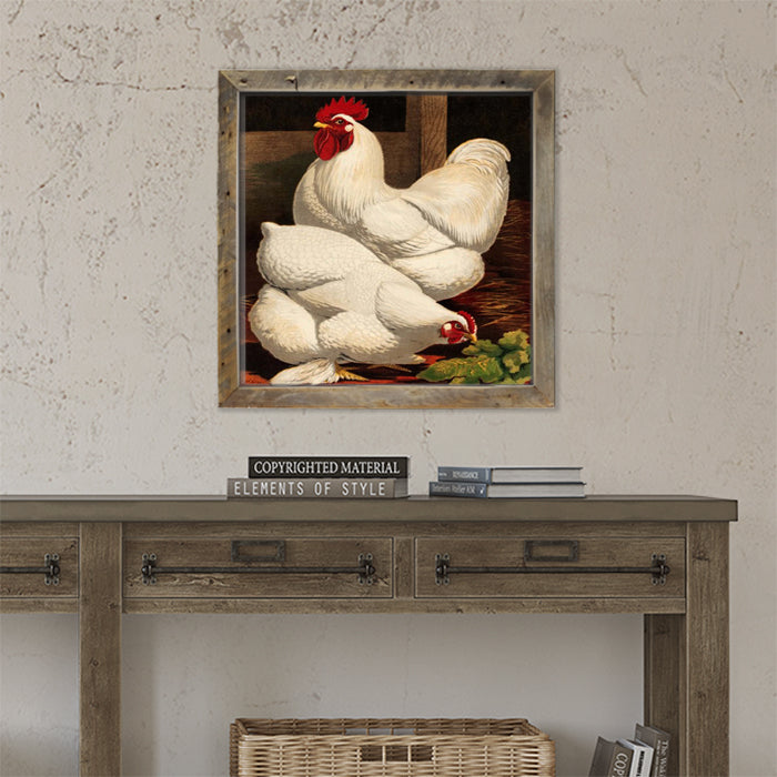 Two White Roosters