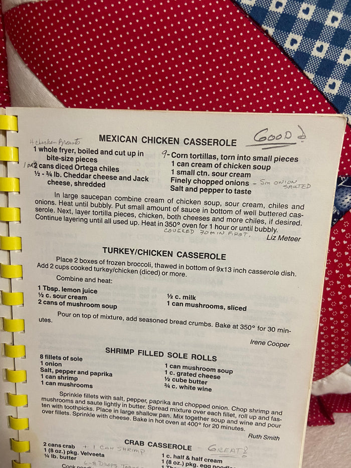 Vintage A Taste Of Wildwood Cookbook, Lake Wildwood, 1984 - Deer Creek Mercantile