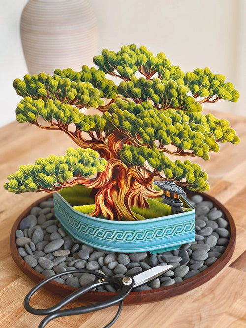 Wisdom Bonsai Pop-Up Houseplant