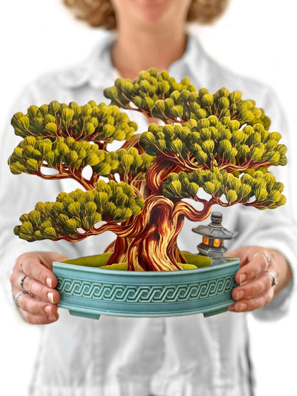Wisdom Bonsai Pop-Up Houseplant