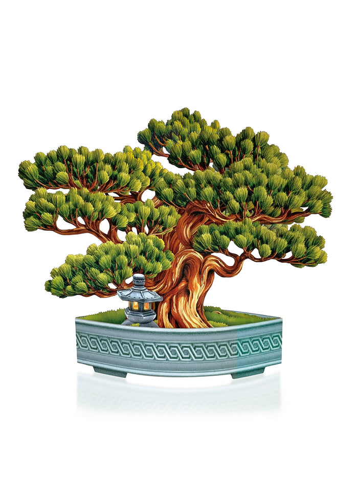 Wisdom Bonsai Pop-Up Houseplant