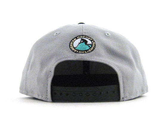 Worcester SHarks New Era 9Fifty Snapback Hat (AIR JORDAN RETRO 10 LIBERTY GRAY UNDERBRIM)