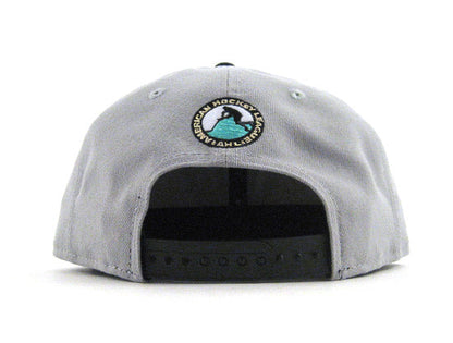 Worcester SHarks New Era 9Fifty Snapback Hat (AIR JORDAN RETRO 10 LIBERTY GRAY UNDERBRIM)