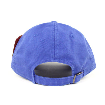 Yokohama Wales Southpaw Dad Hat