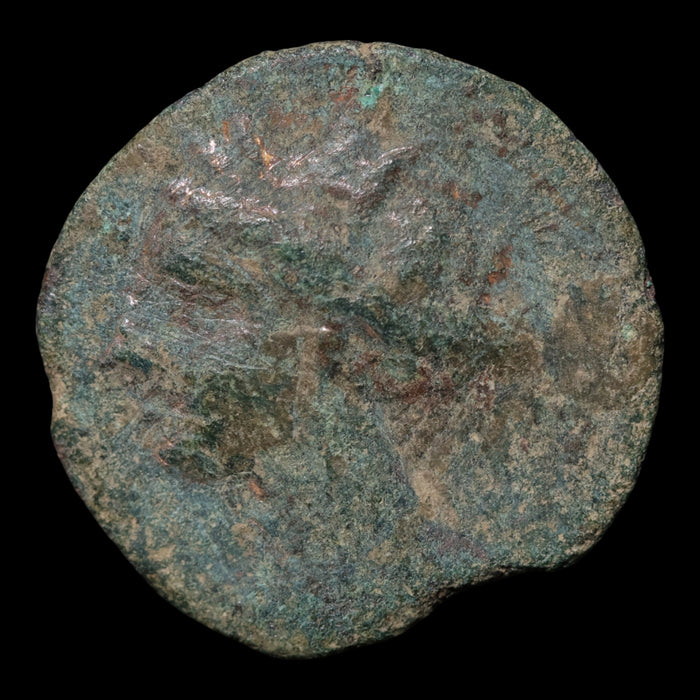 Zeugitana, City of Carthage, AE Unit, Tanit & Horse - c. 300 to 200 BCE - Ancient Carthage