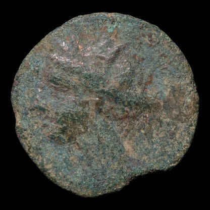 Zeugitana, City of Carthage, AE Unit, Tanit & Horse - c. 300 to 200 BCE - Ancient Carthage